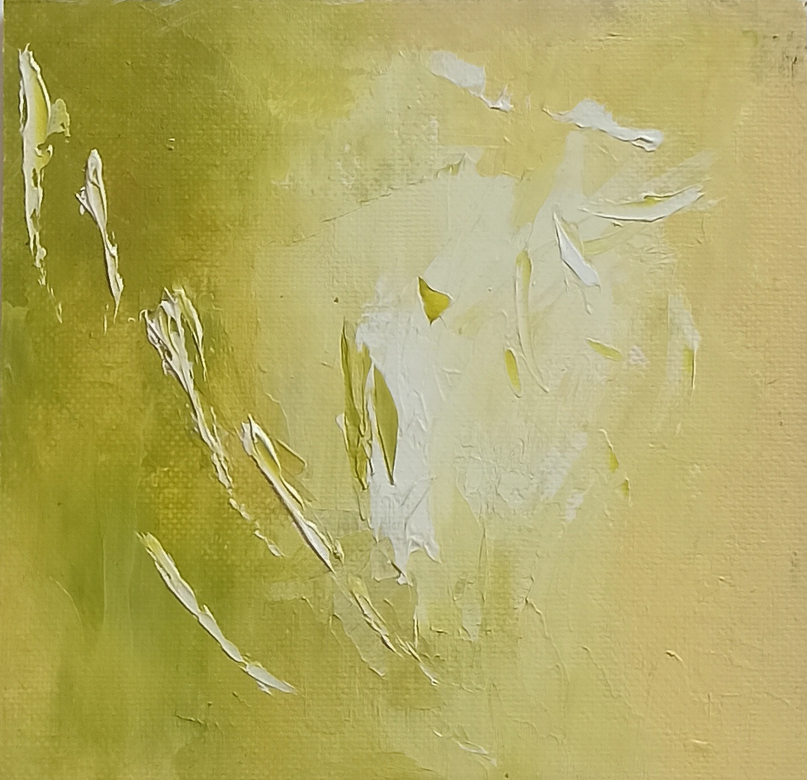 Rencontre n°70 - immagine 2
